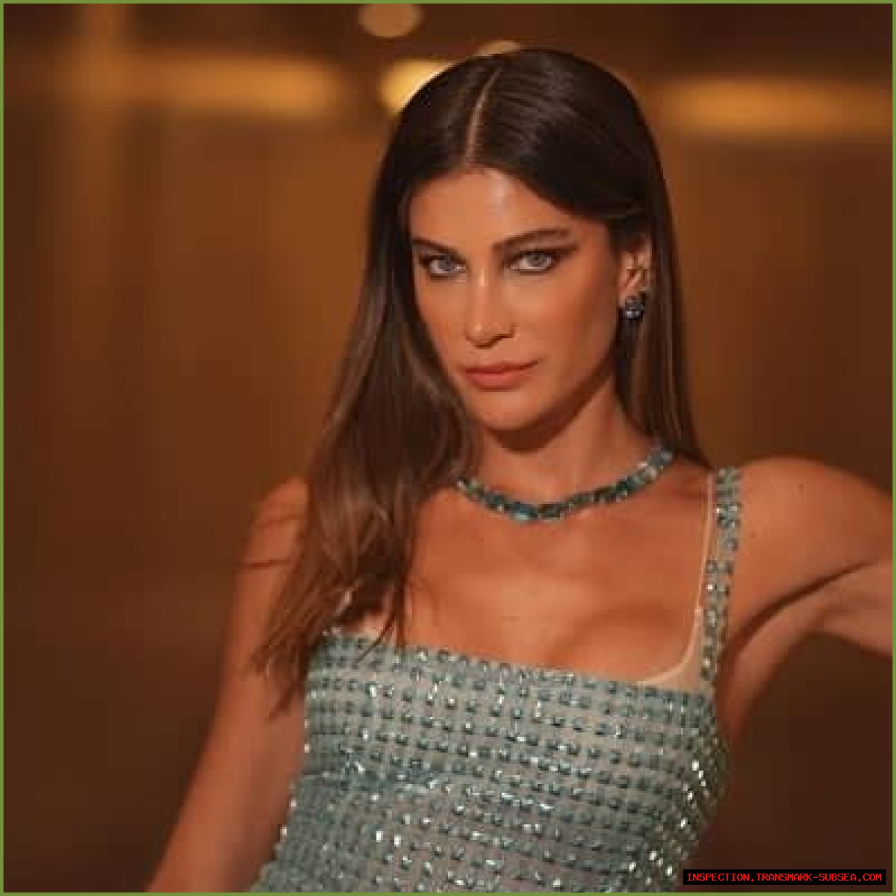 Berrak Tuzunatac: A Rising Star In The Entertainment Industry