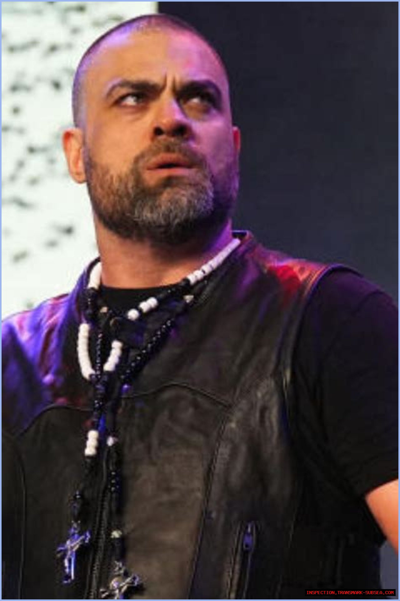 Eddie Kingston's Wife: The Woman Behind The Wrestling Star