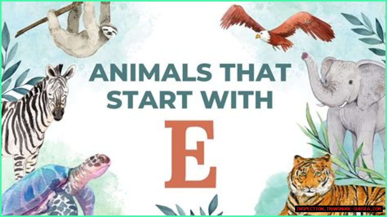 Exploring The Enigmatic World Of Animals Starting With E