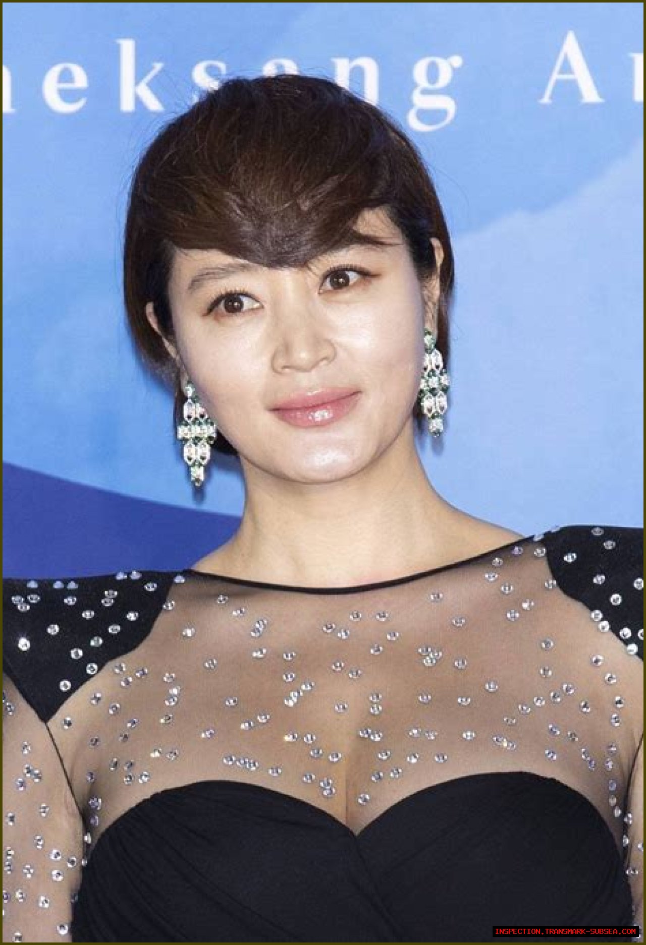 Kim Hye-Soo: The Ever-Enigmatic Star And Her Journey Through Love