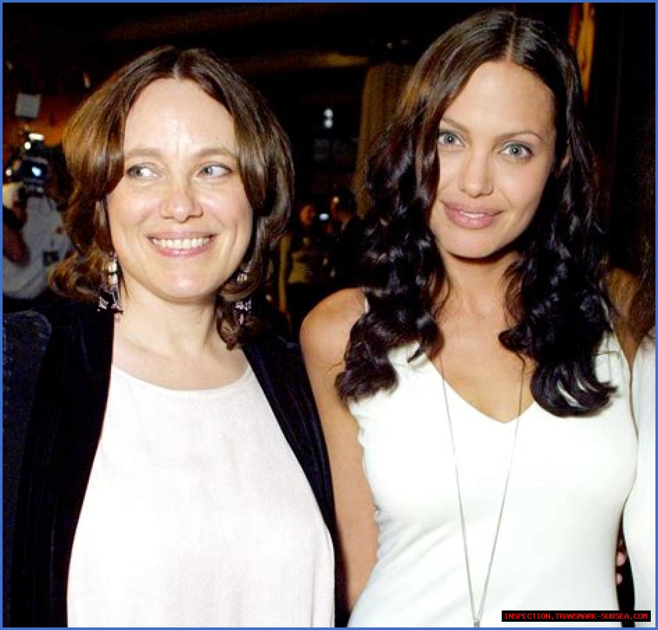 Marcheline Bertrand: A Deep Dive Into The Life Of Angelina Jolie's Beloved Mother