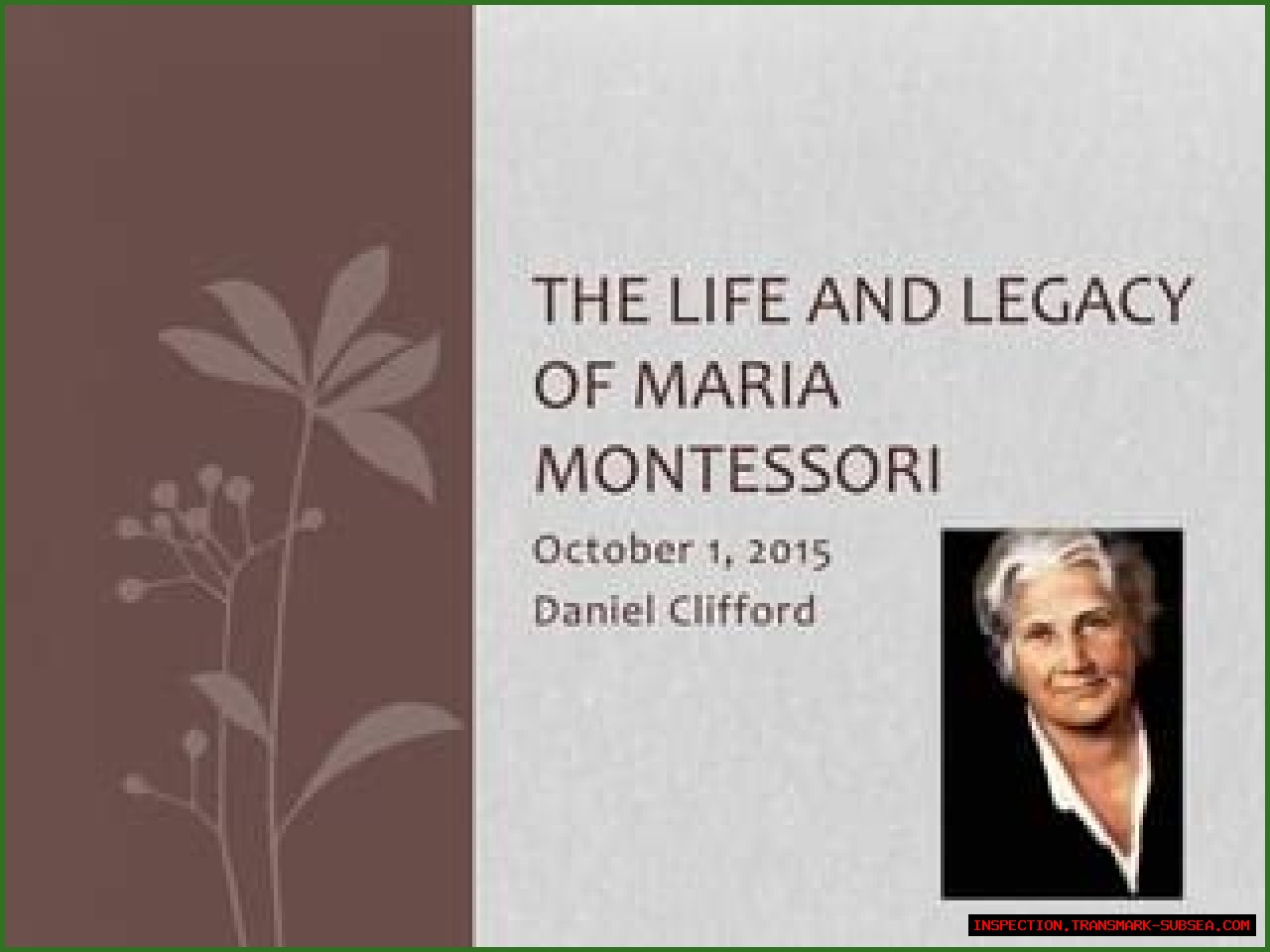 Unraveling The Life And Legacy Of Maria Lease